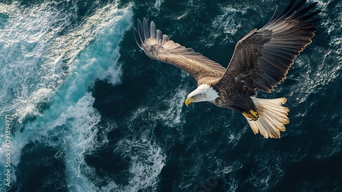 Eagle Soaring Skyward
