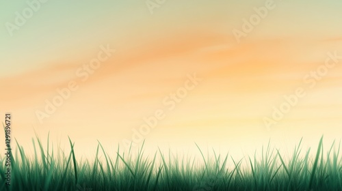 lawn in foreground with soft dawn in background.