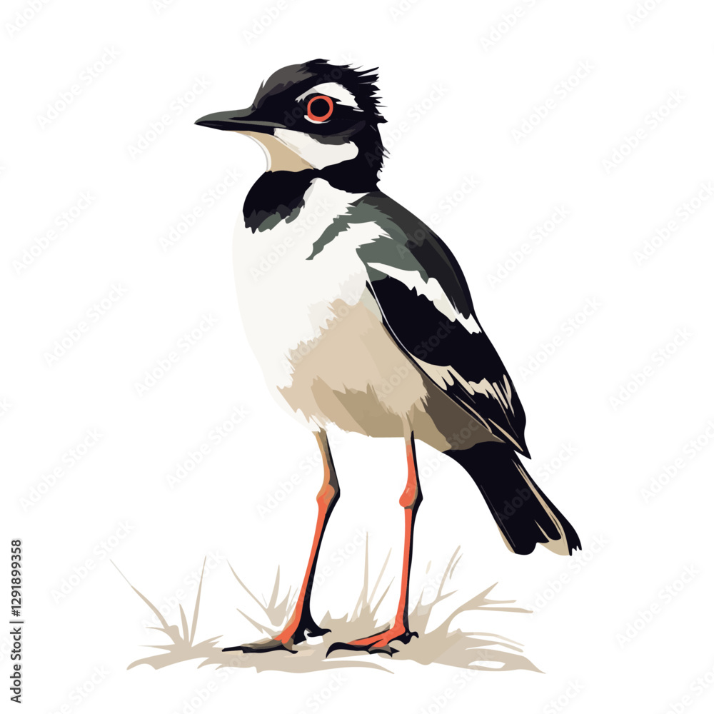 Lapwing minimalist 2D vector graphic illustration sketch on a white background.
Lapwing minimalist 2D vector graphic illustration sketch on a white background.