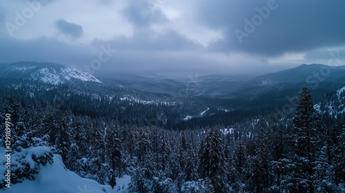 Snowy Pine Trees Mountainscape
