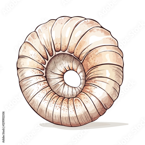 Nautilus minimalist 2D vector graphic illustration sketch on a white background.

