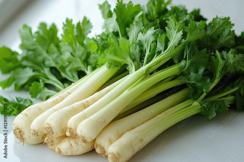 Fresh and Crisp Vegetables for Cooking Preparation Fresh and Crisp Vegetables for Cooking Preparation