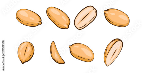 Nuts isolated vector illustration. Peanut set isolated on white background. Nuts Cartoon Style. Organic food concept. Hand Drawn vector illustration