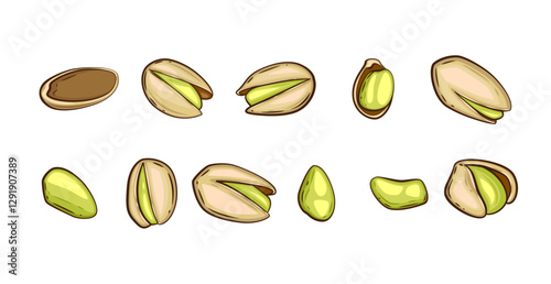 Nuts isolated vector illustration. Pistachio set isolated on white background. Nuts Cartoon Style. Organic food concept. Hand Drawn vector illustration