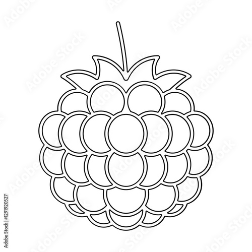 Raspberry icon in line style