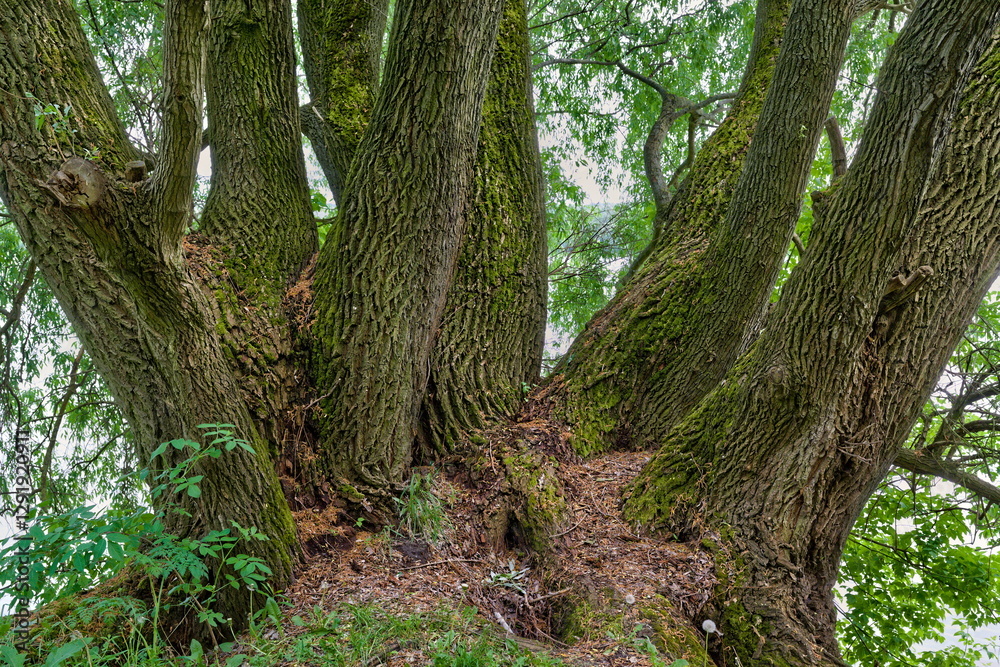 Nadwiślański Park Krajobrazowy Nadwiślański Park Krajobrazowy