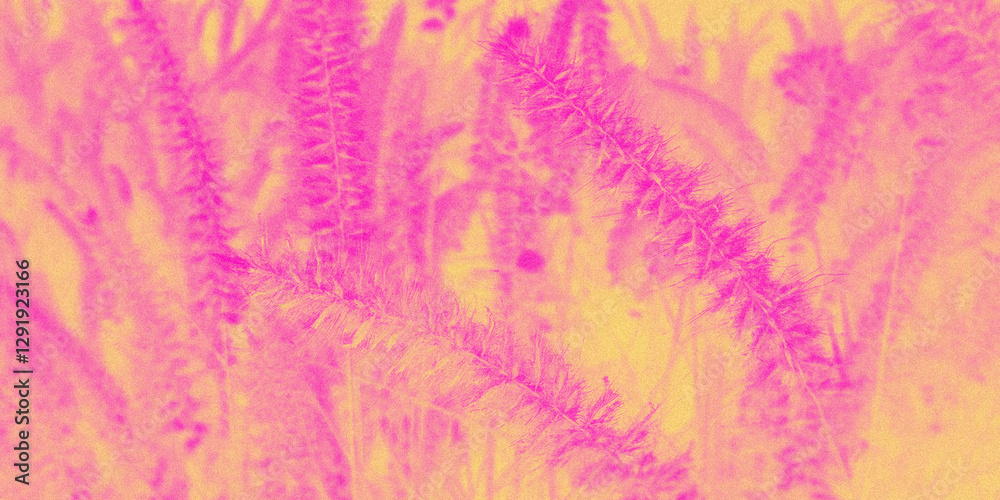 Abstract blurred grainy gradient, pink and yellow neon textured background, flowers with soft noise effect, aura Abstract blurred grainy gradient, pink and yellow neon textured background, flowers with soft noise effect, aura