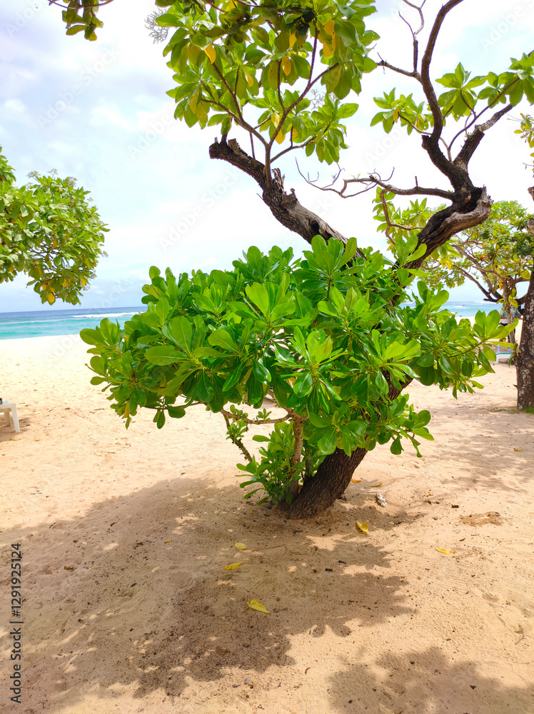 Tropical wonderful Nusa dua beach, Nusa dua, Bali, Indonesia.