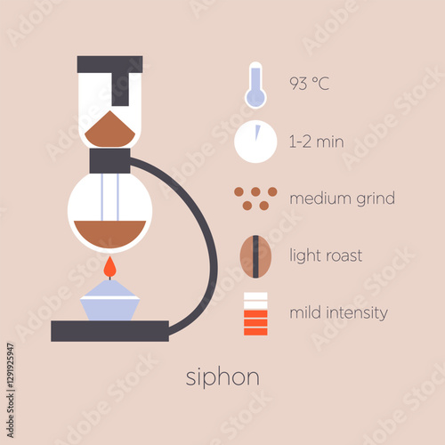 Siphon coffee brewing method infographic. Flat vector illustration coffee maker. Instruction of preparation caffeine drink with temperature, roasting and grind parameters.