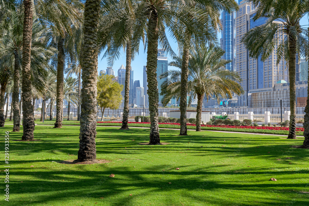 green oasis in the heart of Dubai. Safa Park offers outdoor relaxation with views of modern skyscrapers. A great spot for walks and picnics under the shade of trees green oasis in the heart of Dubai. Safa Park offers outdoor relaxation with views of modern skyscrapers. A great spot for walks and picnics under the shade of trees