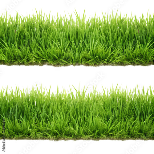 Grass Border PNG: Free Download | High-Res Texture isolated on transparent background