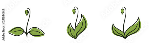 Three spring sprouts with bud. Planting and nature design elements. Isolated vector images
