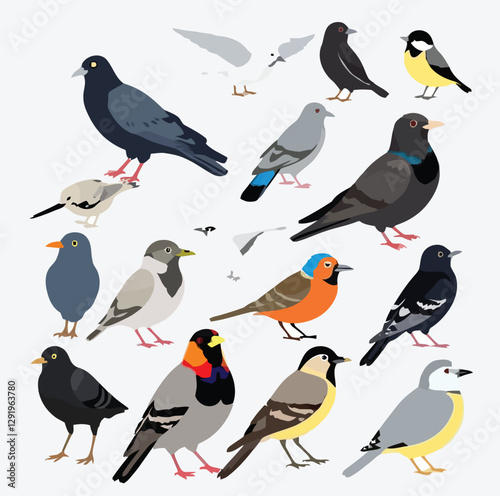 City Birds of Europe: A Trendy Vector Collection