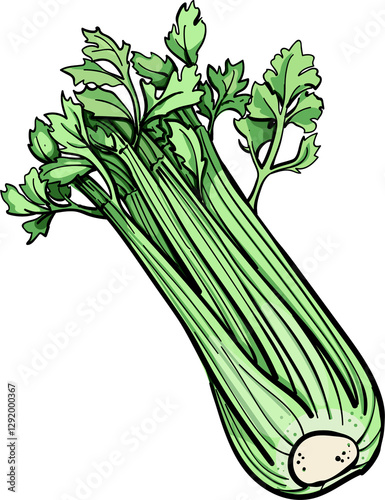 Celery isolated. Detailed vegetarian food. Farm market product