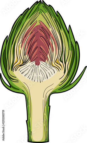 Artichoke Engraving sketch style hand drawn