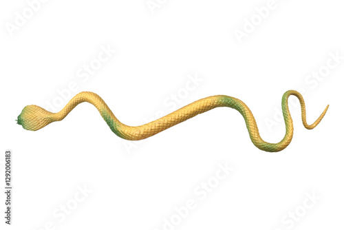 A toy snake on white background