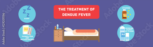 Treatment of Dengue Fever Disease Icon Vector Set