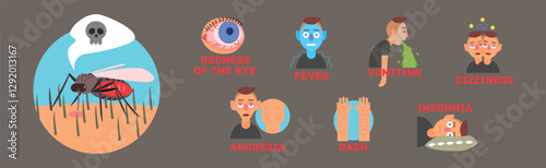 Malaria or Dengue Fever Symptoms Infographic Vector Set