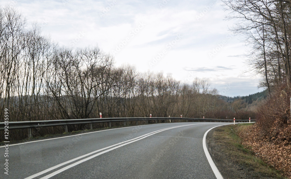 A winding road surrounded by bare trees leads into the horizon, showcasing a tranquil landscape in the early morning light. A winding road surrounded by bare trees leads into the horizon, showcasing a tranquil landscape in the early morning light.