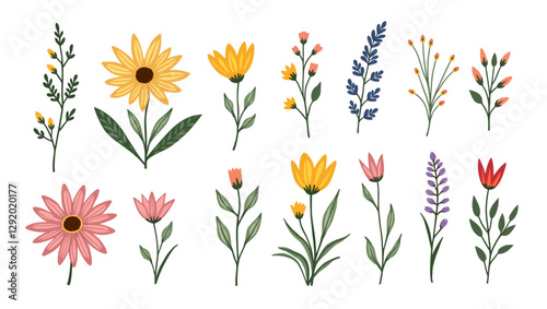 A variety of colorful flowers, including sunflowers and lavender, ideal for vibrant and nature-themed designs.