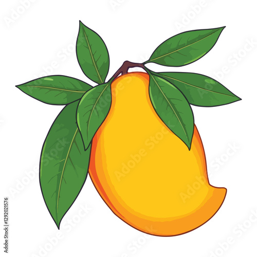 vector illustration of an mango 