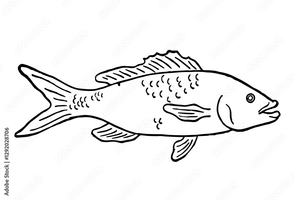Fish, Retro Vector Illustration