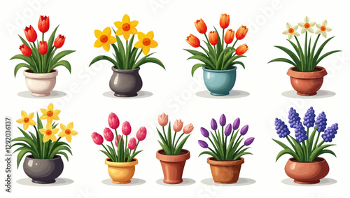 A beautiful variety of potted spring flowers, including tulips, daffodils, and hyacinths, perfect for gardening, home decor, and botanical projects.