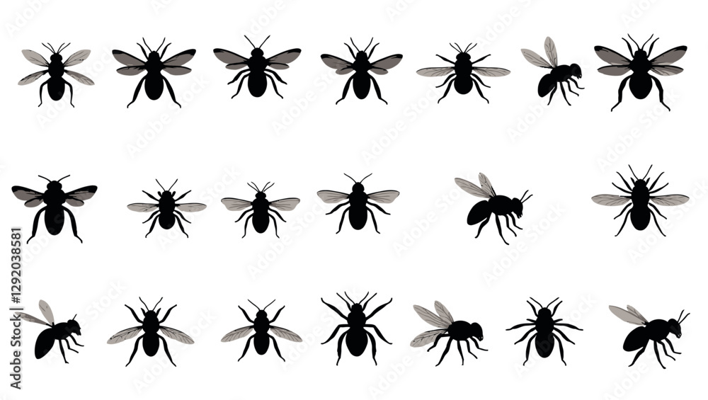 A collection of black and white bee illustrations in various poses. Perfect for scientific studies, nature projects, and vector designs. A collection of black and white bee illustrations in various poses. Perfect for scientific studies, nature projects, and vector designs.