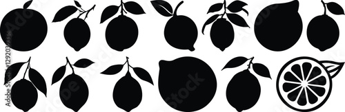 Lemon silhouette set vector design big pack of juicy illustration and icon