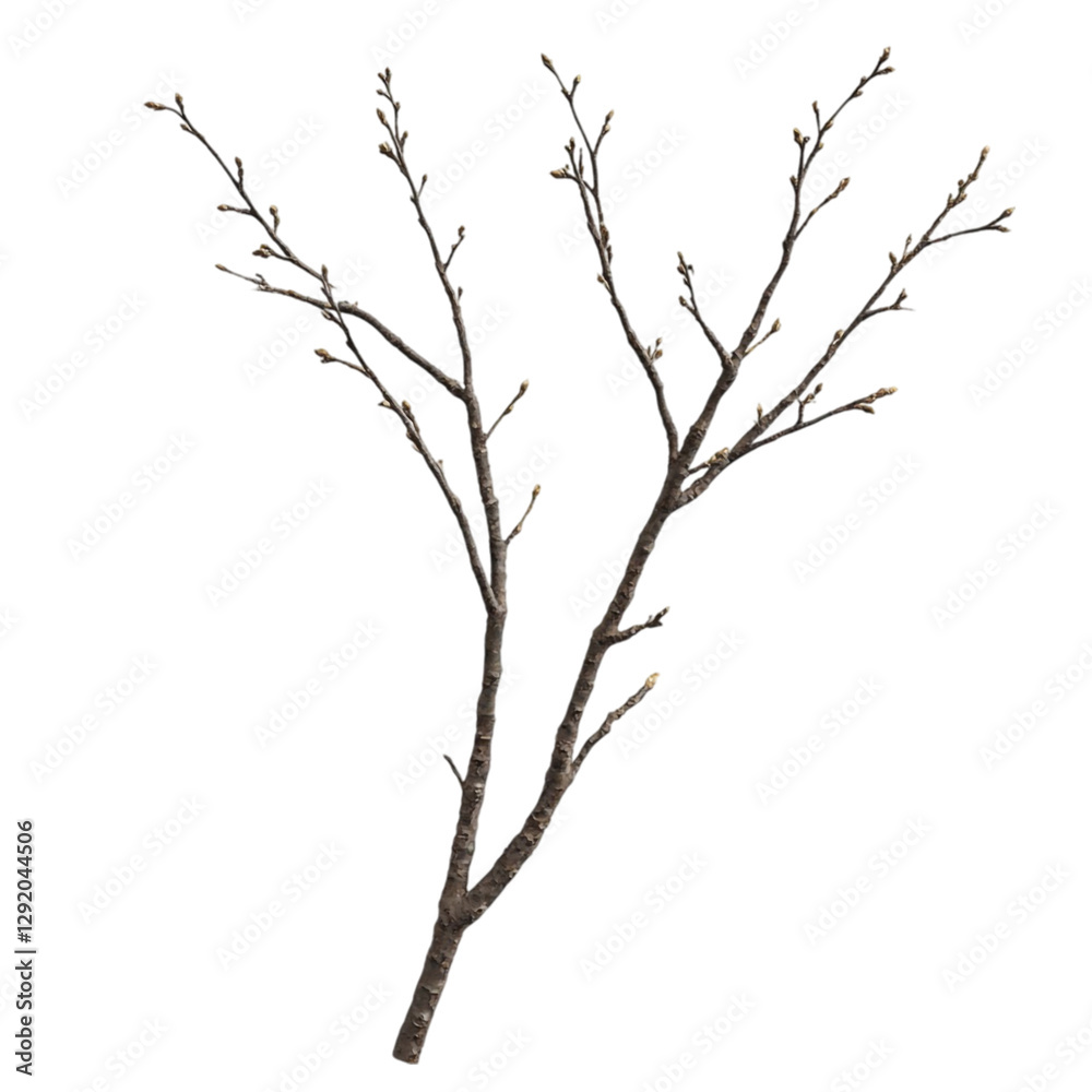 Bare branches against vibrant abstract stripes a striking contrast of nature and geometry evoking a feeling of modern art Bare branches against vibrant abstract stripes a striking contrast of nature and geometry evoking a feeling of modern art