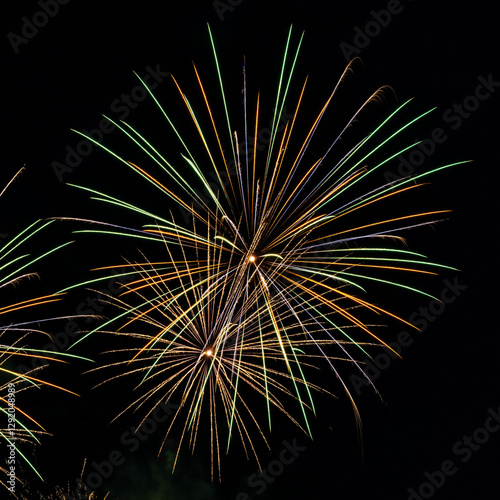 Fireworks Celebrating the Holiday Season