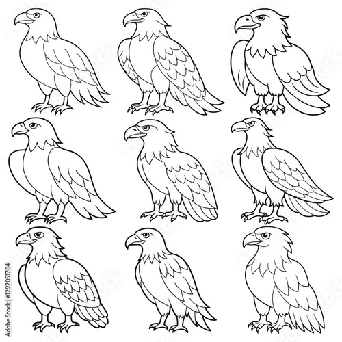  Set of nine line art illustrations of eagles in various poses, detailed wildlife sketch design