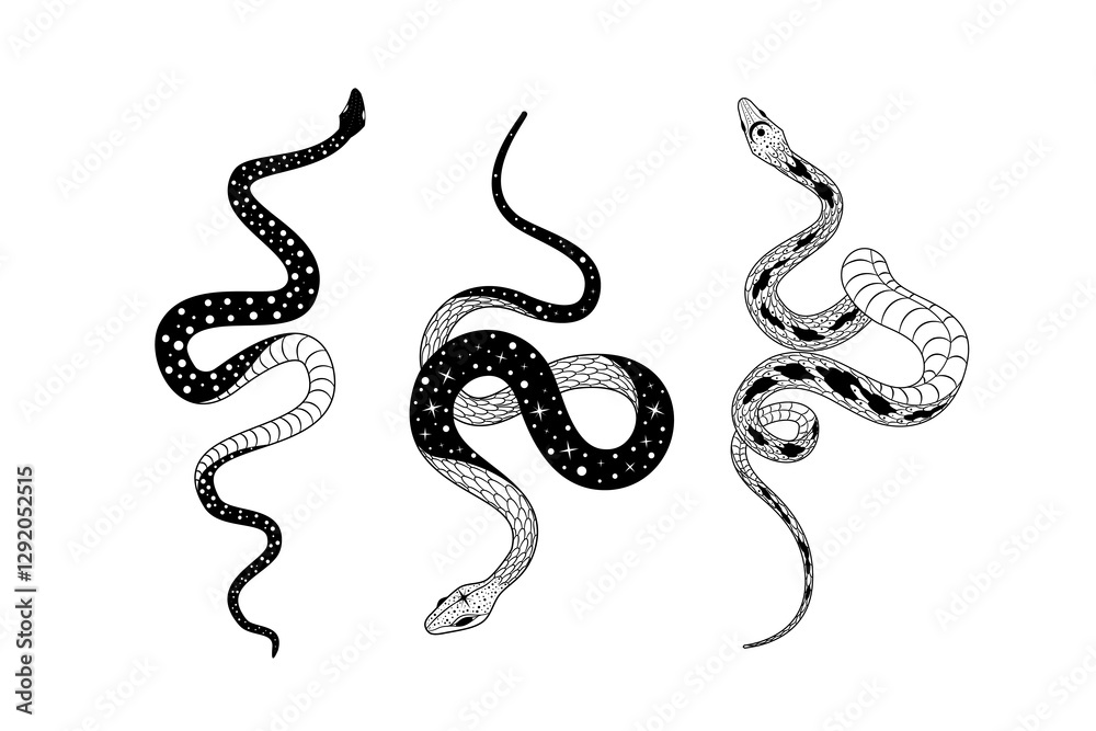 Fototapeta premium Silhouetted snake designs with intricate details and unique doodling styles in a vector format