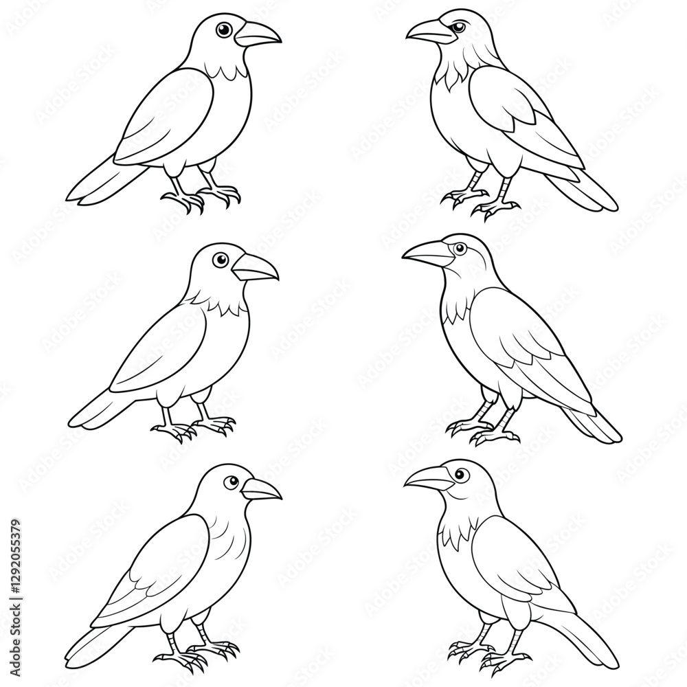 Set of six line art illustrations of birds in different poses, detailed wildlife drawings Set of six line art illustrations of birds in different poses, detailed wildlife drawings