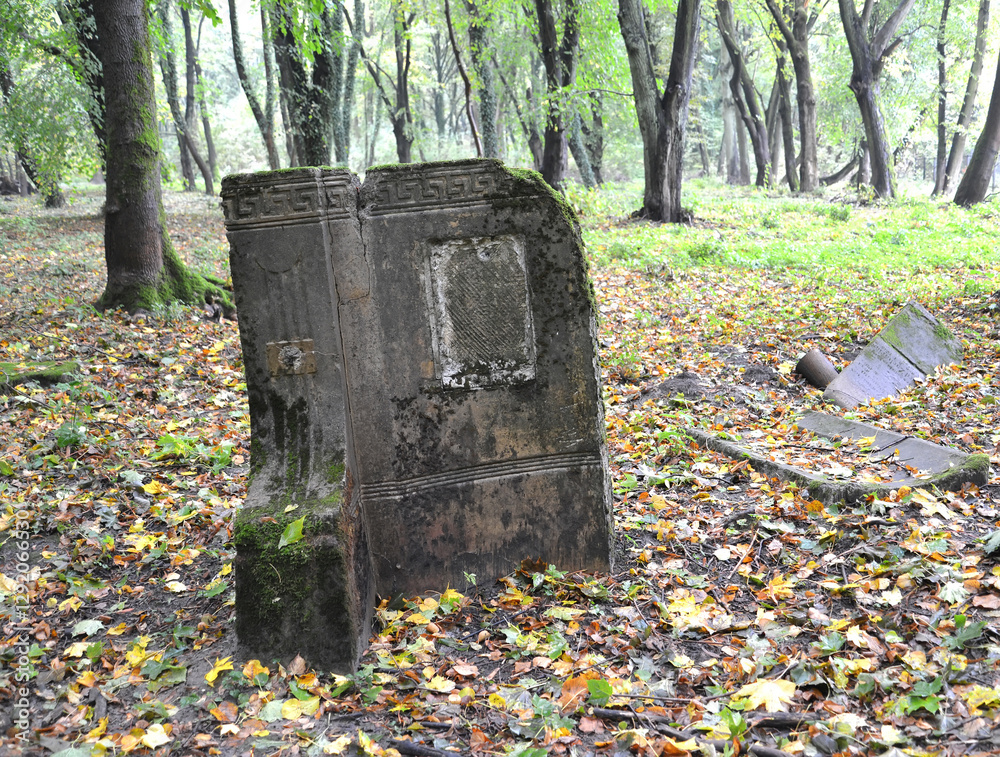 Fragment of an old tombstone. Königsberg Jewish Cemetery. Kaliningrad