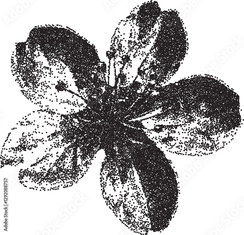 Flower vintage y2k stipple art, bloom halftone stipple brutalist retro vector png with transparent background, petal 2000s aesthetic photocopy effect tattoo