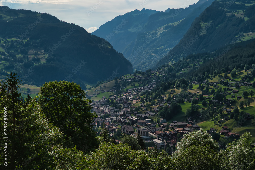 Fototapeta premium Grindelwald is a village in the Bernese Alps of Switzerland, it is known for being the gateway to Jungfrau. Landscape, valley wildflowers and colorful meadows in spring, spectacular Switzerland Alps.
