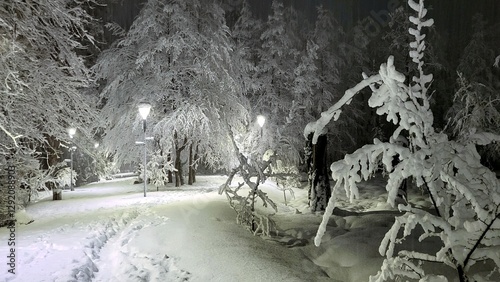 Winter landscape in the evening park, trees in the snow, lanterns are burning