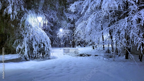 Tree branches in the night garden are covered with snow