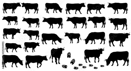 A collection of black silhouette cows in various poses, accompanied by hoof prints, suitable for agricultural or decorative purposes. photo