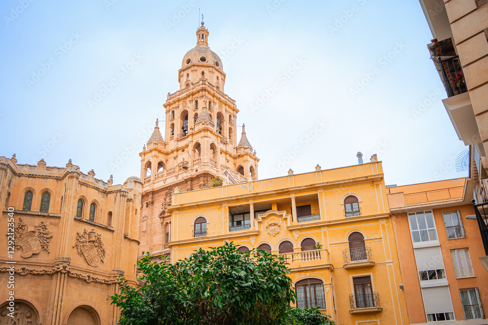 The bell tower of the Catedral de Murcia (Murcia Cathedral) The bell tower of the Catedral de Murcia (Murcia Cathedral)