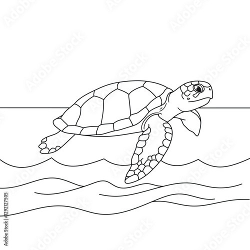 turtle on the water