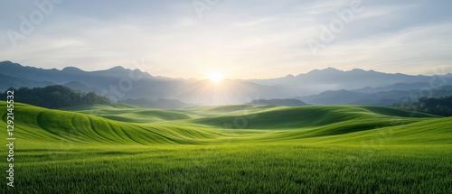sunrise over green rolling hills landscape