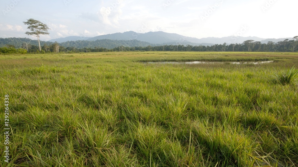 Lush green meadow, mountains background, tranquil landscape, nature photography Lush green meadow, mountains background, tranquil landscape, nature photography