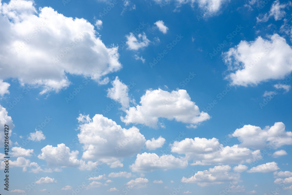 Obraz premium blue sky background with tiny clouds. panorama