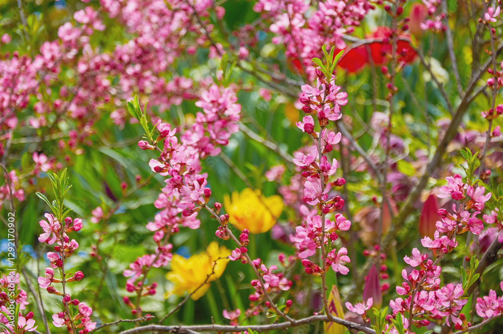 Flowering pink shrub, with hints of yellow flowers in the background Flowering pink shrub, with hints of yellow flowers in the background