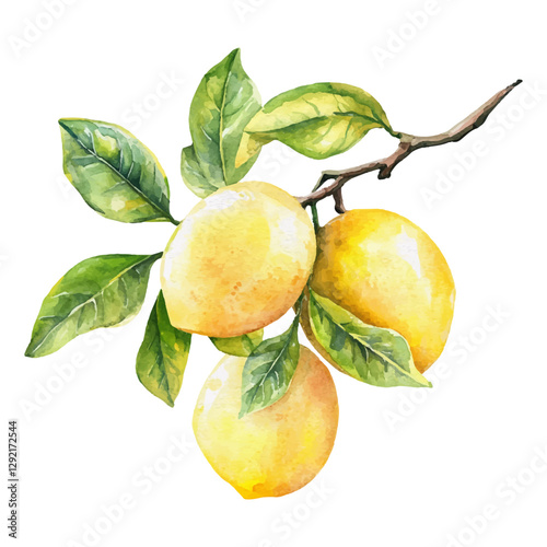 Three yellow lemons hanging from a branch with fresh green leaves vector illustration. Vibrant colors and natural textures bright lemons on the tree branch.