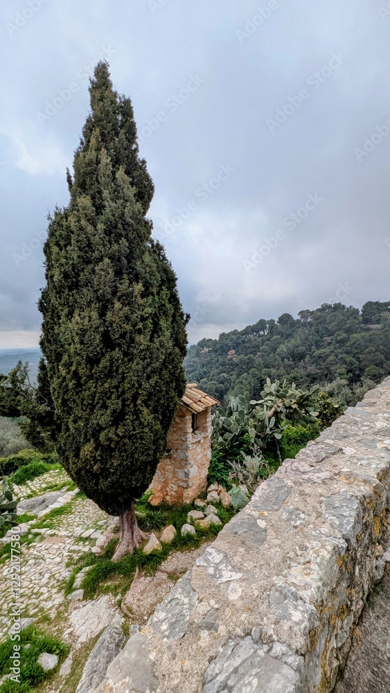 TOURRETTES-SUR-LOUP (Alpes-Maritimes)