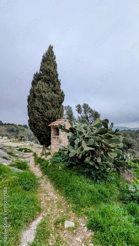 TOURRETTES-SUR-LOUP (Alpes-Maritimes)