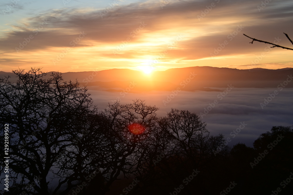 Obraz premium beautiful and colorful sunrise in the springtime